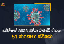 Corona Positive Cases in Maharashtra, Corona Positive Cases In Maharashtra, Maharashtra, Maharashtra , Maharashtra Corona, Maharashtra Corona Cases, Maharashtra Corona Deaths, Maharashtra Corona Positive Cases, Maharashtra Coronavirus, Maharashtra Coronavirus Positive Cases, Maharashtra Coronavirus Updates, Maharashtra COVID 19,mango news