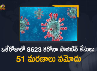 Corona Positive Cases in Maharashtra, Corona Positive Cases In Maharashtra, Maharashtra, Maharashtra , Maharashtra Corona, Maharashtra Corona Cases, Maharashtra Corona Deaths, Maharashtra Corona Positive Cases, Maharashtra Coronavirus, Maharashtra Coronavirus Positive Cases, Maharashtra Coronavirus Updates, Maharashtra COVID 19,mango news