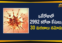 Corona Positive Cases in Maharashtra, Corona Positive Cases In Maharashtra, Maharashtra, Maharashtra , Maharashtra Corona, Maharashtra Corona Cases, Maharashtra Corona Deaths, Maharashtra Corona Positive Cases, Maharashtra Coronavirus, Maharashtra Coronavirus Positive Cases, Maharashtra Coronavirus Updates, Maharashtra COVID 19,mango news