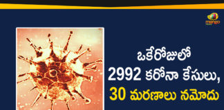 Corona Positive Cases in Maharashtra, Corona Positive Cases In Maharashtra, Maharashtra, Maharashtra , Maharashtra Corona, Maharashtra Corona Cases, Maharashtra Corona Deaths, Maharashtra Corona Positive Cases, Maharashtra Coronavirus, Maharashtra Coronavirus Positive Cases, Maharashtra Coronavirus Updates, Maharashtra COVID 19,mango news