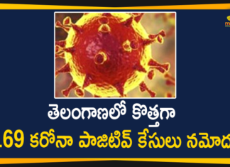 తెలంగాణలో కొత్తగా 169 కరోనా పాజిటివ్ కేసులు నమోదు Coronavirus, Coronavirus Breaking News, Coronavirus Latest News, COVID-19, Mango News, telangana, Telangana Coronavirus, Telangana Coronavirus Cases, Telangana Coronavirus Deaths, Telangana Coronavirus New Cases, Telangana Coronavirus News, Telangana New Positive Cases, Telangana Reports 169 New Covid-19 Cases, Total COVID 19 Cases