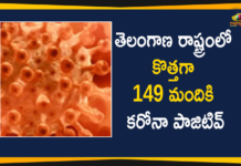 Coronavirus, Coronavirus Breaking News, Coronavirus Latest News, COVID-19, telangana, Telangana Coronavirus, Telangana Coronavirus Cases, Telangana Coronavirus Deaths, Telangana Coronavirus New Cases, Telangana Coronavirus News, Telangana New Positive Cases, Total COVID 19 Cases