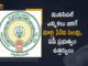 2021 AP Municipal Elections, AP Govt, AP Govt Announces Local Holiday on March 10th, AP Municipal Elections, AP Municipal Elections 2021, AP Municipal Elections 2021 Schedule Released, AP Municipal Elections Date, AP Municipal Elections News, AP Municipal Elections Notification, Local Holiday on March 10th, Mango News, Municipal Elections