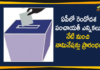 AP Second Phase Panchayat Elections: Nominations Started from Today