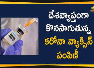 దేశంలో కరోనా వ్యాక్సినేషన్: 82 లక్షలు దాటిన వ్యాక్సిన్ తీసుకున్న వారి సంఖ్య More than 82 Lakh Beneficiaries have Received Corona Vaccine in India
