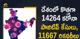 Coronavirus Cases, coronavirus cases in india state wise, coronavirus cases in india today state wise, coronavirus cases india, coronavirus india, India Coronavirus, India Covid-19 Updates, New Confirmed Corona Cases, total corona cases in india today, total corona positive in india,mango news