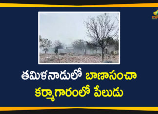 Fire Breaks Out at Firecracker Factory in Virudhunagar Tamil Nadu 11 Dead,Mango News,Mango News Telugu,Fire breaks out at firecracker factory in Tamil Nadu,TN: Fire erupts at firecracker factory in Virudhunagar,11 Dead in Fire at Cracker Factory in Tamil Nadu,16 killed in Tamil Nadu fireworks unit blaze,11 killed in fire in Tamil Nadu cracker factory