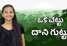 Biblical Mystery of the Olive Tree - Zion Ministries,Mango News,Mango News Telugu,ఒక చెట్టు దాని గుట్టు,Significance and Uses of the Olive Tree,Biblical Mystery of the Olive Tree,Zion Ministries,olive tree,olive tree uses,olive tree benefits,biblical characteristics of an olive tree olive tree importance,olive tree meaning,bible verses about olive oil significance of olive oil in the bible,Significance Of Olive Tree In Bible,olive oil,health benefits of olive oil,olive tree facts,trees in the bible,bible verses on olive tree