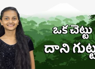 ఆలివ్ చెట్టు ప్రాముఖ్యత మరియు ఉపయోగాలపై వివరణ Biblical Mystery of the Olive Tree - Zion Ministries,Mango News,Mango News Telugu,ఒక చెట్టు దాని గుట్టు,Significance and Uses of the Olive Tree,Biblical Mystery of the Olive Tree,Zion Ministries,olive tree,olive tree uses,olive tree benefits,biblical characteristics of an olive tree olive tree importance,olive tree meaning,bible verses about olive oil significance of olive oil in the bible,Significance Of Olive Tree In Bible,olive oil,health benefits of olive oil,olive tree facts,trees in the bible,bible verses on olive tree