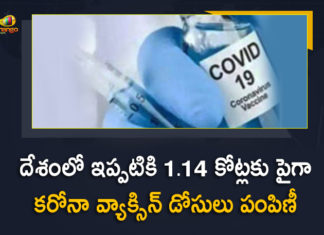 దేశంలో ఇప్పటికి 1.14 కోట్లకు పైగా కరోనా వ్యాక్సిన్ డోసులు పంపిణీ Corona Vaccination Drive, Corona Vaccination Programme, coronavirus vaccine distribution, COVID 19 Vaccine, Covid Vaccination, Covid vaccination in India, Covid-19 Vaccination Distribution, Covid-19 Vaccination Drive, Covid-19 Vaccine Distribution, Covid-19 Vaccine Distribution News, Covid-19 Vaccine Distribution updates, Distribution For Covid-19 Vaccine, India Covid Vaccination, Mango News, Vaccine Distribution