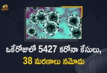 Corona Positive Cases in Maharashtra, Corona Positive Cases In Maharashtra, Maharashtra, Maharashtra , Maharashtra Corona, Maharashtra Corona Cases, Maharashtra Corona Deaths, Maharashtra Corona Positive Cases, Maharashtra Coronavirus, Maharashtra Coronavirus Positive Cases, Maharashtra Coronavirus Updates, Maharashtra COVID 19,mango news