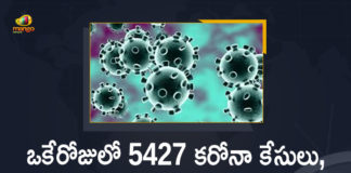 Corona Positive Cases in Maharashtra, Corona Positive Cases In Maharashtra, Maharashtra, Maharashtra , Maharashtra Corona, Maharashtra Corona Cases, Maharashtra Corona Deaths, Maharashtra Corona Positive Cases, Maharashtra Coronavirus, Maharashtra Coronavirus Positive Cases, Maharashtra Coronavirus Updates, Maharashtra COVID 19,mango news