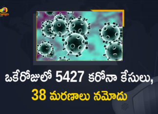 మహారాష్ట్రలో ఒకేరోజులో 5427 కరోనా కేసులు, 38 మరణాలు నమోదు Corona Positive Cases in Maharashtra, Corona Positive Cases In Maharashtra, Maharashtra, Maharashtra , Maharashtra Corona, Maharashtra Corona Cases, Maharashtra Corona Deaths, Maharashtra Corona Positive Cases, Maharashtra Coronavirus, Maharashtra Coronavirus Positive Cases, Maharashtra Coronavirus Updates, Maharashtra COVID 19,mango news