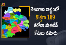 Coronavirus, COVID-19, Covid-19 Updates in Telangana, telangana corona district wise cases, telangana coronavirus cases district wise, telangana coronavirus cases today, telangana coronavirus cases today district wise, telangana coronavirus district wise, telangana coronavirus district wise List, Telangana Coronavirus News, telangana covid cases today bulletin, telangana covid cases today list,mango news