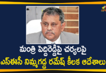 Andhra Pradesh Government, Andhra Pradesh panchayat elections, AP Gram Panchayat Elections, AP Gram Panchayat Elections News, AP Local Body Polls, AP Panchayat polls, AP Panchayat polls 2021, AP Panchayat Raj Minister, AP Political Updates, AP SEC Issued Orders to Take Action Against Minister Peddireddy Ramachandra Reddy, AP SEC Nimmagadda Ramesh, AP SEC orders for house arrest of Panchayat Raj Minister, Mango News, Minister Peddireddy Ramachandra Reddy, Panchayat polls, Peddireddy Ramachandra Reddy
