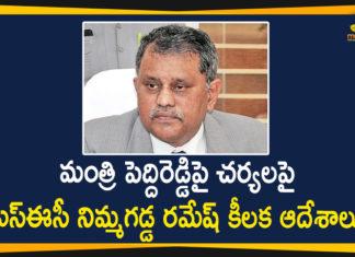 Andhra Pradesh Government, Andhra Pradesh panchayat elections, AP Gram Panchayat Elections, AP Gram Panchayat Elections News, AP Local Body Polls, AP Panchayat polls, AP Panchayat polls 2021, AP Panchayat Raj Minister, AP Political Updates, AP SEC Issued Orders to Take Action Against Minister Peddireddy Ramachandra Reddy, AP SEC Nimmagadda Ramesh, AP SEC orders for house arrest of Panchayat Raj Minister, Mango News, Minister Peddireddy Ramachandra Reddy, Panchayat polls, Peddireddy Ramachandra Reddy