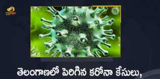 Coronavirus, COVID-19, Covid-19 Updates in Telangana, telangana corona district wise cases, telangana coronavirus cases district wise, telangana coronavirus cases today, telangana coronavirus cases today district wise, telangana coronavirus district wise, telangana coronavirus district wise List, Telangana Coronavirus News, telangana covid cases today bulletin, telangana covid cases today list,mango news