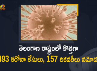 తెలంగాణ రాష్ట్రంలో కొత్తగా 493 కరోనా కేసులు, 157 రికవరీలు నమోదు Coronavirus, COVID-19, Covid-19 Updates in Telangana, telangana corona district wise cases, telangana coronavirus cases district wise, telangana coronavirus cases today, telangana coronavirus cases today district wise, telangana coronavirus district wise, telangana coronavirus district wise List, Telangana Coronavirus News, telangana covid cases today bulletin, telangana covid cases today list,mango news