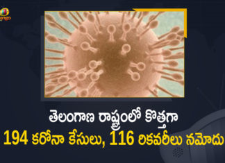Coronavirus, COVID-19, Covid-19 Updates in Telangana, telangana corona district wise cases, telangana coronavirus cases district wise, telangana coronavirus cases today, telangana coronavirus cases today district wise, telangana coronavirus district wise, telangana coronavirus district wise List, Telangana Coronavirus News, telangana covid cases today bulletin, telangana covid cases today list,mango news