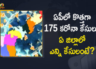 ఏపీలో 24 గంటల్లో 40448 కరోనా పరీక్షలు నిర్వహించగా 175 మందికి పాజిటివ్ Andhra Pradesh, Andhra Pradesh COVID-19 Daily Bulletin, Andhra Pradesh Department of Health, ap coronavirus cases today, ap coronavirus cases total, ap coronavirus updates district wise, AP COVID 19 Cases, AP Total Positive Cases, COVID-19, COVID-19 Daily Bulletin, Total Corona Cases In AP,mango news