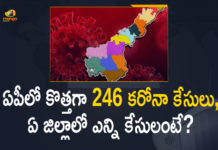 Andhra Pradesh, Andhra Pradesh COVID-19 Daily Bulletin, Andhra Pradesh Department of Health, ap coronavirus cases today, ap coronavirus cases total, ap coronavirus updates district wise, AP COVID 19 Cases, AP Total Positive Cases, COVID-19, COVID-19 Daily Bulletin, Total Corona Cases In AP,mango news