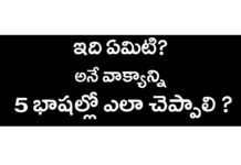 How to Learn 5 Languages Through Telugu-Language - KVR Institute, ఇది ఏమిటి? అనే వాక్యాన్ని 5 భాషల్లో ఎలా చెప్పాలి?,English,Tamil,Kannada,Hindi,KVR Institute,malayalam,spoken english through telugu, english through telugu,learn english through telugu,learn tamil through telugu,learn kannada through telugu, learn malayalam through telugu,learn hindi through telugu,english grammar through telugu,hindi grammar through telugu, tamil grammar through telugu,malayalaym grammar through telugu,kvr institute channel,kvr spoken english, Mango News, Mango News Telugu,