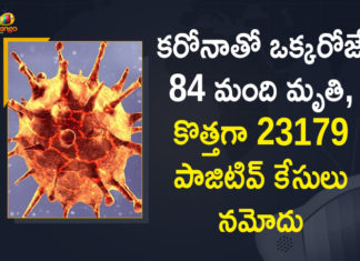 Corona Positive Cases in Maharashtra, Corona Positive Cases In Maharashtra, Maharashtra, Maharashtra , Maharashtra Corona, Maharashtra Corona Cases, Maharashtra Corona Deaths, Maharashtra Corona Positive Cases, Maharashtra Coronavirus, Maharashtra Coronavirus Positive Cases, Maharashtra Coronavirus Updates, Maharashtra COVID 19,mango news