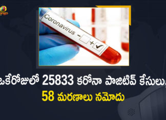 Corona Positive Cases in Maharashtra, Corona Positive Cases In Maharashtra, Maharashtra, Maharashtra , Maharashtra Corona, Maharashtra Corona Cases, Maharashtra Corona Deaths, Maharashtra Corona Positive Cases, Maharashtra Coronavirus, Maharashtra Coronavirus Positive Cases, Maharashtra Coronavirus Updates, Maharashtra COVID 19,mango news