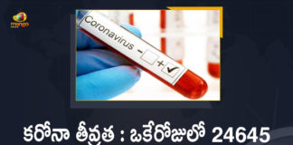 Corona Positive Cases in Maharashtra, Corona Positive Cases In Maharashtra, Maharashtra, Maharashtra , Maharashtra Corona, Maharashtra Corona Cases, Maharashtra Corona Deaths, Maharashtra Corona Positive Cases, Maharashtra Coronavirus, Maharashtra Coronavirus Positive Cases, Maharashtra Coronavirus Updates, Maharashtra COVID 19,mango news