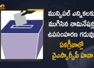 2021 AP Municipal Elections, AP Municipal Elections, AP Municipal Elections 2021, AP Municipal Elections 2021 Schedule, Ap Municipal Elections Campaign, AP Municipal Elections Date, AP Municipal Elections News, AP Municipal Elections Nominations, AP Municipal Elections Nominations Withdrawal Deadline, AP Municipal Elections Nominations Withdrawal Deadline Ended, AP Municipal Elections Notification, Mango News