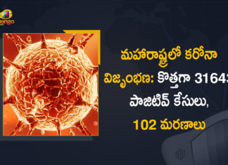 Corona Positive Cases in Maharashtra, Corona Positive Cases In Maharashtra, Maharashtra, Maharashtra , Maharashtra Corona, Maharashtra Corona Cases, Maharashtra Corona Deaths, Maharashtra Corona Positive Cases, Maharashtra Coronavirus, Maharashtra Coronavirus Positive Cases, Maharashtra Coronavirus Updates, Maharashtra COVID 19,mango news