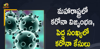 Corona Positive Cases in Maharashtra, Corona Positive Cases In Maharashtra, Maharashtra, Maharashtra , Maharashtra Corona, Maharashtra Corona Cases, Maharashtra Corona Deaths, Maharashtra Corona Positive Cases, Maharashtra Coronavirus, Maharashtra Coronavirus Positive Cases, Maharashtra Coronavirus Updates, Maharashtra COVID 19,mango news