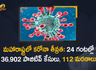 Corona Positive Cases in Maharashtra, Corona Positive Cases In Maharashtra, Maharashtra, Maharashtra , Maharashtra Corona, Maharashtra Corona Cases, Maharashtra Corona Deaths, Maharashtra Corona Positive Cases, Maharashtra Coronavirus, Maharashtra Coronavirus Positive Cases, Maharashtra Coronavirus Updates, Maharashtra COVID 19,mango news