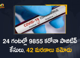 Corona Positive Cases in Maharashtra, Corona Positive Cases In Maharashtra, Maharashtra, Maharashtra , Maharashtra Corona, Maharashtra Corona Cases, Maharashtra Corona Deaths, Maharashtra Corona Positive Cases, Maharashtra Coronavirus, Maharashtra Coronavirus Positive Cases, Maharashtra Coronavirus Updates, Maharashtra COVID 19,mango news