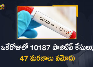 Corona Positive Cases in Maharashtra, Corona Positive Cases In Maharashtra, Maharashtra, Maharashtra , Maharashtra Corona, Maharashtra Corona Cases, Maharashtra Corona Deaths, Maharashtra Corona Positive Cases, Maharashtra Coronavirus, Maharashtra Coronavirus Positive Cases, Maharashtra Coronavirus Updates, Maharashtra COVID 19,mango news