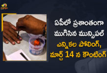 AP Municipal Elections Polling Completed Peacefully, Counting on March 14th