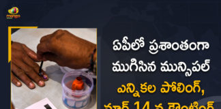 AP Municipal Elections Polling Completed Peacefully, Counting on March 14th