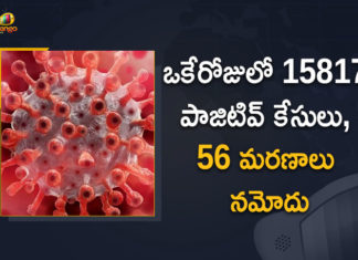 Corona Positive Cases in Maharashtra, Corona Positive Cases In Maharashtra, Maharashtra, Maharashtra , Maharashtra Corona, Maharashtra Corona Cases, Maharashtra Corona Deaths, Maharashtra Corona Positive Cases, Maharashtra Coronavirus, Maharashtra Coronavirus Positive Cases, Maharashtra Coronavirus Updates, Maharashtra COVID 19,mango news