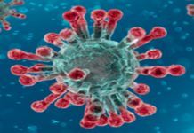 Corona Positive Cases in Maharashtra, Corona Positive Cases In Maharashtra, Maharashtra, Maharashtra , Maharashtra Corona, Maharashtra Corona Cases, Maharashtra Corona Deaths, Maharashtra Corona Positive Cases, Maharashtra Coronavirus, Maharashtra Coronavirus Positive Cases, Maharashtra Coronavirus Updates, Maharashtra COVID 19,mango news