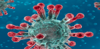 Corona Positive Cases in Maharashtra, Corona Positive Cases In Maharashtra, Maharashtra, Maharashtra , Maharashtra Corona, Maharashtra Corona Cases, Maharashtra Corona Deaths, Maharashtra Corona Positive Cases, Maharashtra Coronavirus, Maharashtra Coronavirus Positive Cases, Maharashtra Coronavirus Updates, Maharashtra COVID 19,mango news