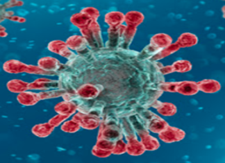 Corona Positive Cases in Maharashtra, Corona Positive Cases In Maharashtra, Maharashtra, Maharashtra , Maharashtra Corona, Maharashtra Corona Cases, Maharashtra Corona Deaths, Maharashtra Corona Positive Cases, Maharashtra Coronavirus, Maharashtra Coronavirus Positive Cases, Maharashtra Coronavirus Updates, Maharashtra COVID 19,mango news