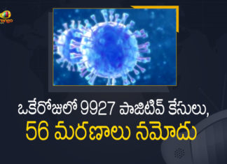 Corona Positive Cases in Maharashtra, Corona Positive Cases In Maharashtra, Maharashtra, Maharashtra , Maharashtra Corona, Maharashtra Corona Cases, Maharashtra Corona Deaths, Maharashtra Corona Positive Cases, Maharashtra Coronavirus, Maharashtra Coronavirus Positive Cases, Maharashtra Coronavirus Updates, Maharashtra COVID 19,mango news