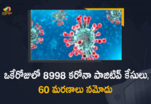Corona Positive Cases in Maharashtra, Corona Positive Cases In Maharashtra, Maharashtra, Maharashtra , Maharashtra Corona, Maharashtra Corona Cases, Maharashtra Corona Deaths, Maharashtra Corona Positive Cases, Maharashtra Coronavirus, Maharashtra Coronavirus Positive Cases, Maharashtra Coronavirus Updates, Maharashtra COVID 19,mango news