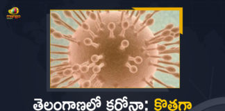 Coronavirus, COVID-19, Covid-19 Updates in Telangana, telangana corona district wise cases, telangana coronavirus cases district wise, telangana coronavirus cases today, telangana coronavirus cases today district wise, telangana coronavirus district wise, telangana coronavirus district wise List, Telangana Coronavirus News, telangana covid cases today bulletin, telangana covid cases today list,mango news
