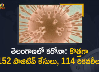 Coronavirus, COVID-19, Covid-19 Updates in Telangana, telangana corona district wise cases, telangana coronavirus cases district wise, telangana coronavirus cases today, telangana coronavirus cases today district wise, telangana coronavirus district wise, telangana coronavirus district wise List, Telangana Coronavirus News, telangana covid cases today bulletin, telangana covid cases today list,mango news