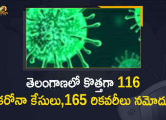 తెలంగాణలో కరోనా: కొత్తగా 116 పాజిటివ్ కేసులు, 165 రికవరీలు Coronavirus, COVID-19, Covid-19 Updates in Telangana, telangana corona district wise cases, telangana coronavirus cases district wise, telangana coronavirus cases today, telangana coronavirus cases today district wise, telangana coronavirus district wise, telangana coronavirus district wise List, Telangana Coronavirus News, telangana covid cases today bulletin, telangana covid cases today list,mango news