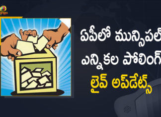AP Municipal Elections Polling Live Updates, 2021 AP Municipal Elections, Andhra Pradesh Municipal Corporation, Andhra Pradesh Municipal Corporation elections, Andhra Pradesh Municipal elections, Andhra Pradesh Municipal Elections 2021 news and live updates, Andhra Pradesh Municipal Polls, AP Municipal Corporation Elections, AP Municipal Elections, AP Municipal Elections 2021, AP Municipal Elections 2021 LIVE, AP Municipal Elections 2021 News, Ap Municipal Elections Campaign, AP Municipal Elections News, AP Municipal Elections Polling, AP Municipal Elections Polling Underway, AP Municipal Elections Polling Underway Across the State, AP Municipal Polls, AP Municipal Polls 2021, Mango News, Municipal Elections