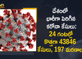Coronavirus Cases, coronavirus cases in india state wise, coronavirus cases in india today state wise, coronavirus cases india, coronavirus india, India Coronavirus, India Covid-19 Updates, New Confirmed Corona Cases, total corona cases in india today, total corona positive in india,mango news