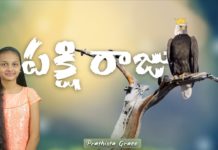పక్షి రాజు!,Wonderful and Inspirational Message About Pakshi Raju,Prathista Grace,Eagle Story,Zion Ministries,pakshi raju,pakshi raju story,pakshi raju life style,pakshi raju inspirational story,pakshi raju life,pakshi raju in bible,pakshi raju bible story,best birds in bible,pakshi raju bible verses in telugu,best birds story in biblet,bible verses on pakshi raju,pakshi raju life details,inspirational stories,motivational stories,how to achieve success