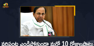 CM KCR, CM KCR Orders Irrigation Officials to Release Water from Projects, KCR Orders Irrigation Officials to Release Water from Projects, Mango News, Release Water from Projects Another 10 Days for Crops, Release Water from Projects For Crops, Release Water from Projects For Crops In Telangana, Telangana Irrigation Projects, Telangana to procure paddy
